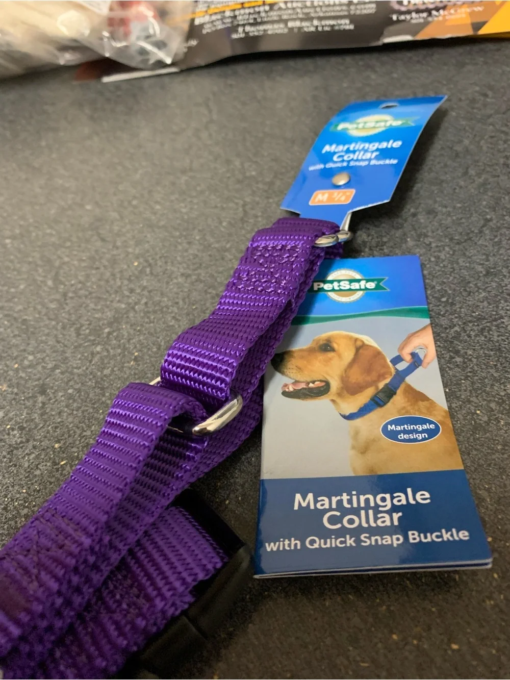 PetSafe Purple Martingale Dog Collar with Quick Snap Buckle  Petsafe Martingale